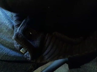 80 yaşındaki adam fransa'dan 15