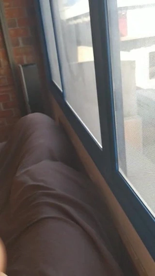 Kaltağı sergilemek için pencerenin önüne götürmek, 2