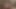 Kenarlı orospu boşalmak için izin verilmeden önce kendi precum yiyor