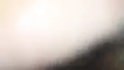 Damlayan kedi yapay penis sikme