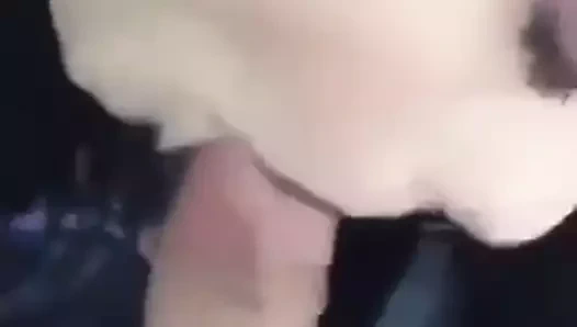 oral seks içinde araba