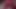 Teaser göt wigle
