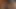 grup orgy üç şişman civciv