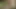 Teeny vom Bauernhof bekommt ihren ersten Fick vom Stief-Dad