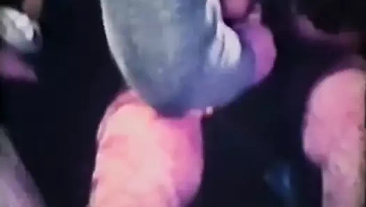 Tuhaf ilerleyen grup lanet seks partisi (1970'lerin vintage)