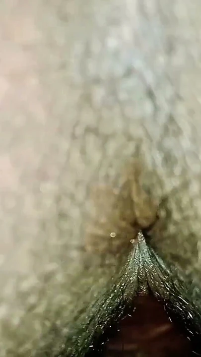 I had a little with my sister-in-law, my brother is not at home, so I thought I had a little fun | Clip 1