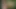 Dövmeli kıvrımlı hatun sheena aslan saldırısından sonra seni emziriyor