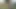 Backyard Cumshot - Jeffrey Jaxxon Jerking by the Firepit, Neighbors Outside