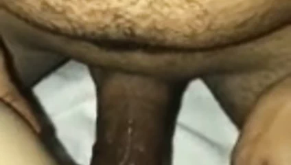 Bbc kahrolası ıslak beyaz kedi