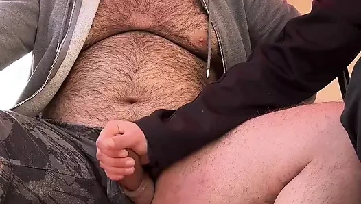 Terasta itaatkar yavru