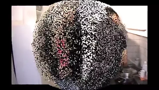 Prenses barby ev kölesi richie'yi eğitiyor