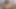 Sara alakarga ve amy anderssen büyük bir siyah horoz paylaşıyor!