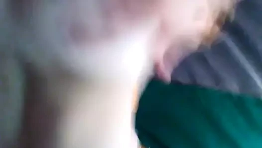 lanet benim hanımları ıslak KEDİ