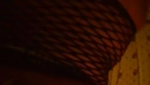 Domaltmalı antillaise