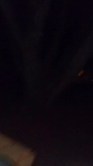 arsız anal at kamu park