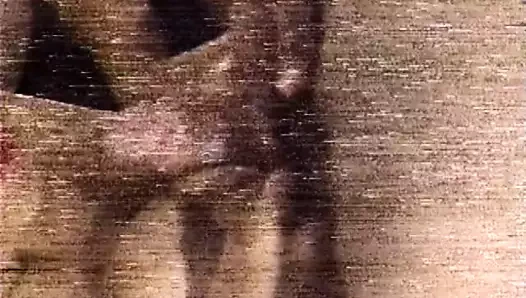 Star 84 tina marie hikayesi (1984)