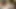 Nine bijou: yarak emen genelev tavşanı 92925cams25m