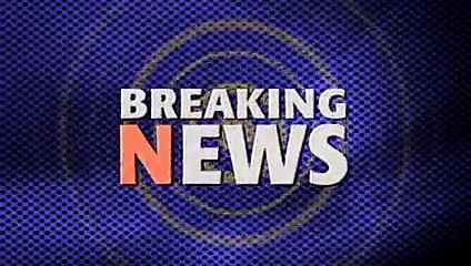 Shanna mccullough, kaplanın odununda (2009)