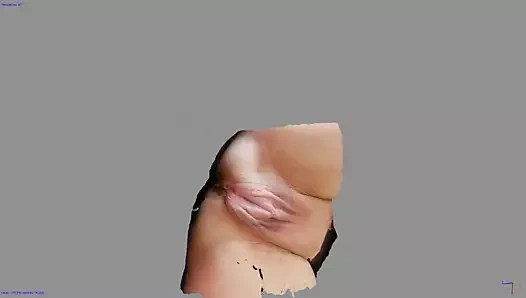 Amcık
