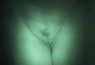 Kedi atış. 4. bölüm