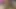 Kind Granny GILF Next Door Plays with Black Cock in the Morning for Cum Load in Her Hand