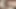 Seksi Brezilyalı trans Livie Blainn'i sikiyor