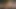 Shesnew amatör güney belle katie kral pov oral seks seks