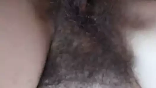 horoz içinde KEDİ 02