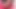 Travesti Amanda Fialho prezervatifsiz götten güzel büyük bir yarak alıyor
