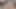 Seksi masöz fışkırtma suyunu makaslamak için kullanır - yetişkin zamanı