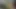 Büyük göğüslü ve büyük garajlı zenci sürtük Monet Staxxx amına yarak almak için