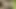 Suman yenge sert yağlı amcığını sikiyor