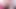 Bts pov seks ile cali fauna 2