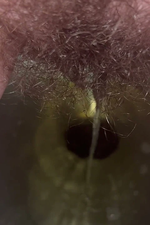 Bathroom Pees