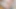 Xxl dildo götümü sert sikip yarak emdiğimde fışkırtmamı sağlıyor