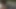 Kadın sahte taksi arka koltuk busty oral seks için şanslı damızlık