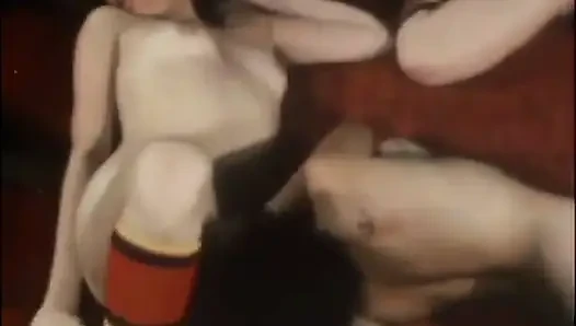 Klasik porno dvd'leri plato'nun geri çekilmesi batı bölüm 4