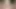 KEDİ yeme facesiting
