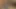 Vahşi batı çocuklar sikme her diğer içinde the eşek