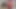 VIP4K. Külotlu çoraplı iki lezbiyen dildo penetrasyondan önce amcıklarını yalıyor