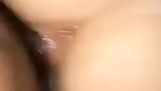 Gangbangking pound ona köpek