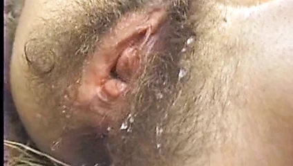 Cool büyük tüylü kedi