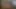 Julia Red senin edepsiz yarağını emiyor ve sikiyor
