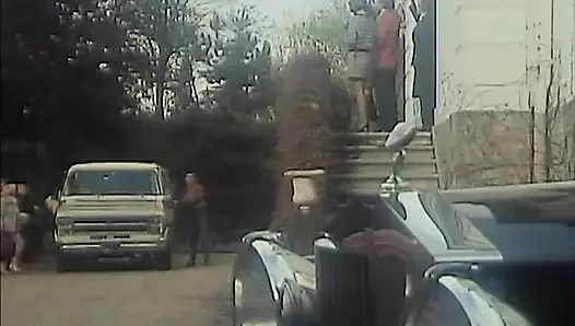 İyi şık, iyi tarz, ama... Sürtükler!! (1983)