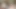 Ben bu büyük memeli zenciyi sikerken kocası durmadan aradı... ve daha da sert geldi