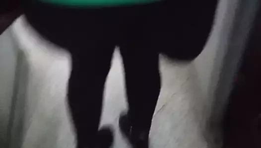 eşek ile Mısırlı kız