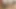 Lana Rhoades süper amcık küçük yarağı iki kez boşaltıyor - ahlaksız canlı