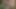 Çıplak evli kadın erkeklerin açık havada kocasının büyük kıllı götünü anal sikmesini istiyor.