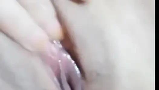 Pussy Becek Endonezya 2026