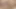 Seksi esmer genç kız amcığıyla oynuyor